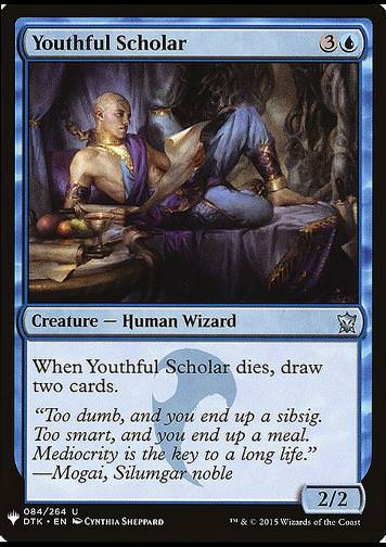 Youthful Scholar (Jugendlicher Gelehrter)